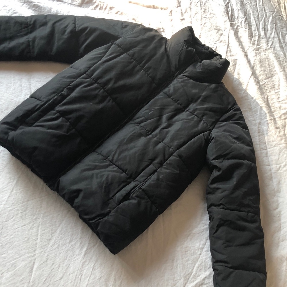 Black Puffer